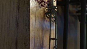 сериал под названием #новенькая# лошади шляйх