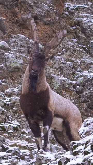 Доброе утро смотреть онлайн