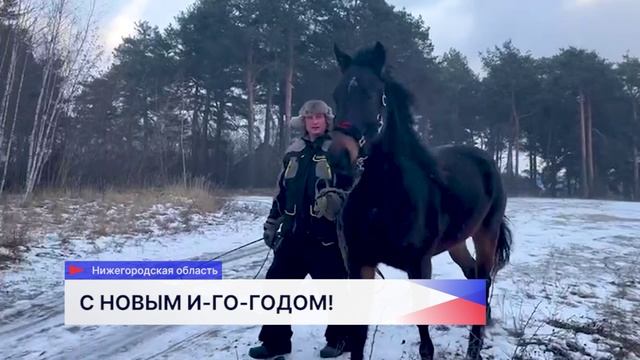 Семья Семёновых из Нижегородской области содержит двух лошадей – символов Нового года смотреть онлайн