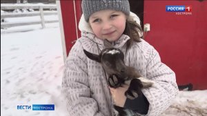 Новогоднее чудо произошло на ферме «Кострома-Перу»