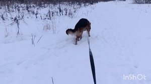 03-01-2026. ЧП.🙄 Снимать не буду.🙅