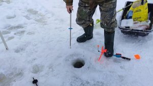 Основной водоём. Форель на резину.