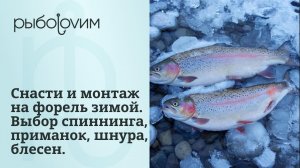Как выбрать и подготовить спиннинг и оснастку для рыбалки на прудовую форель.
