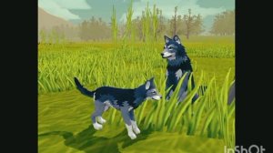 Мини фильм Wildcraft "Жизнь леса" 3 серия