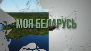 Моя Беларусь #19 |  Зимняя сказка Беловежья
