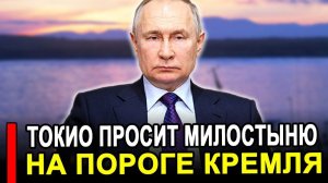Это произошло...Токио просит милостыню на пороге Кремля Россия новости.