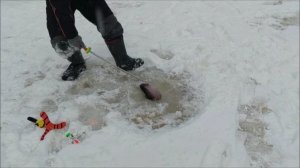 Лучше работают поставухи. Клёвое место, Лосиный остров, верхний водоём.