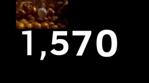 число до 10000 со звуком