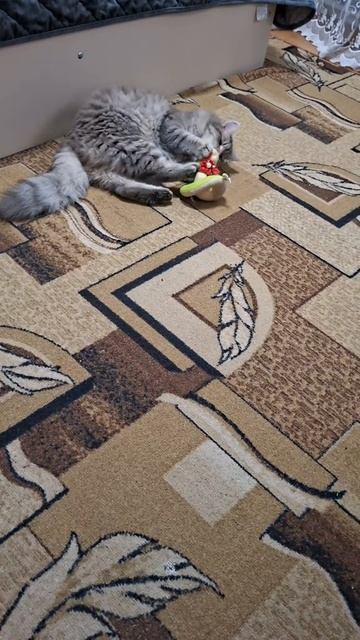 Милаш🥰 смотреть онлайн