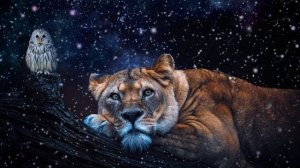 68294-528670294_medium