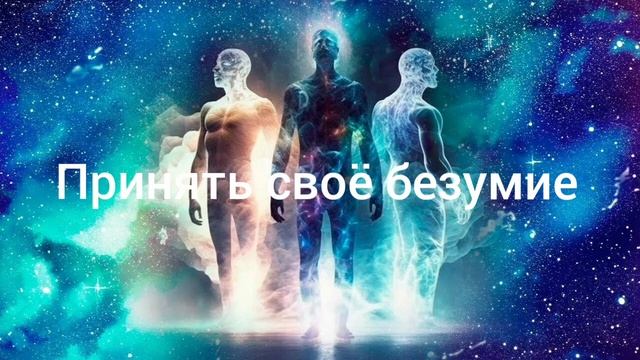 Принять своё безумие смотреть онлайн