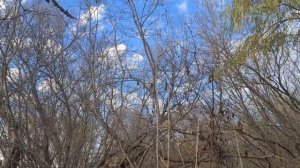 Летают FPV , летают гады...  #СВО  #Угренюк