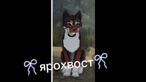 наши котятки♥♥♥♥♥♥