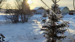 Первые деньки Нового Года. Отдыхаем