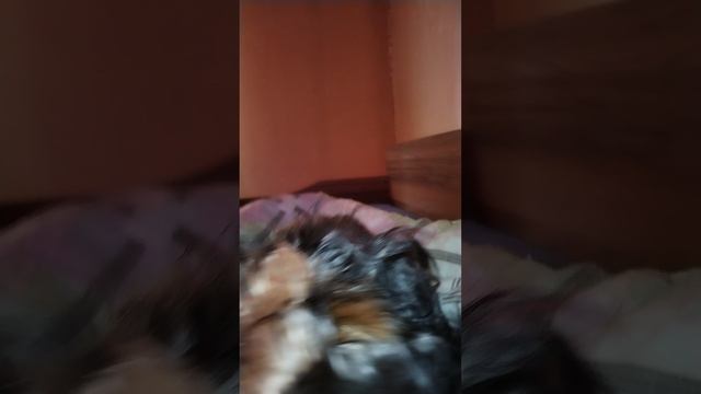 1000003858.mp4 смотреть онлайн