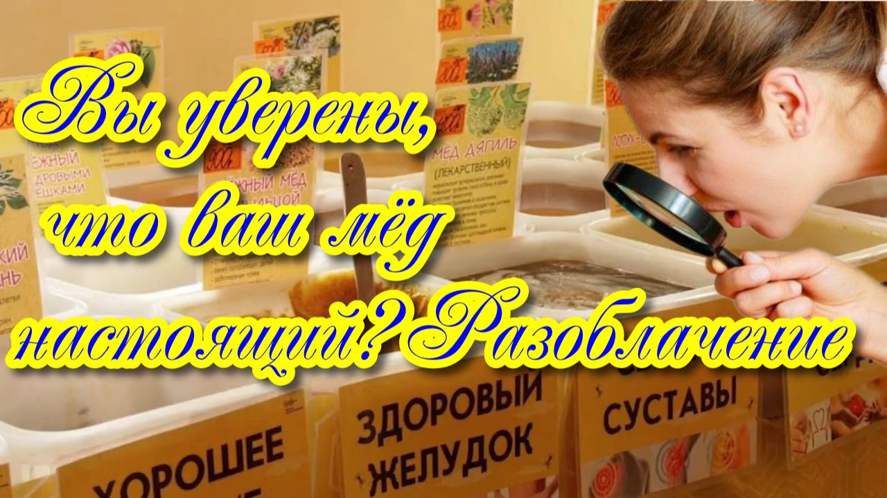 Как не стать жертвой мошенников при покупке мёда смотреть онлайн