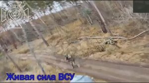 Расчеты FPV 69 мсд уничтожают л/с противника в Харьковской обл.