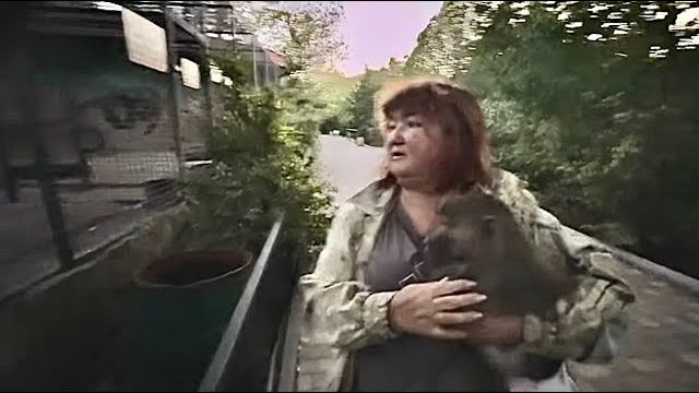 Мы вечером везем Маню домой, чтобы она побыла со мной и наладила отношение с Анфисой) смотреть онлайн