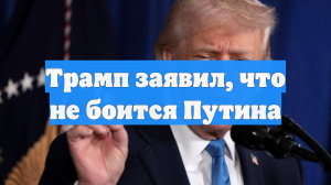 Трамп заявил, что не боится Путина