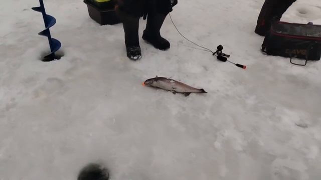 03.01.26 г. РК Волна. смотреть онлайн