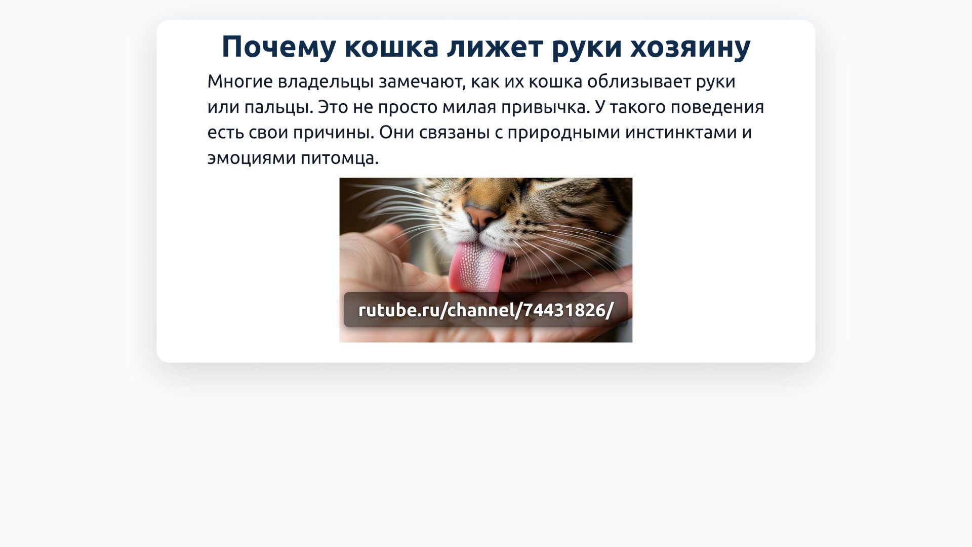 Почему кошка лижет руки хозяину