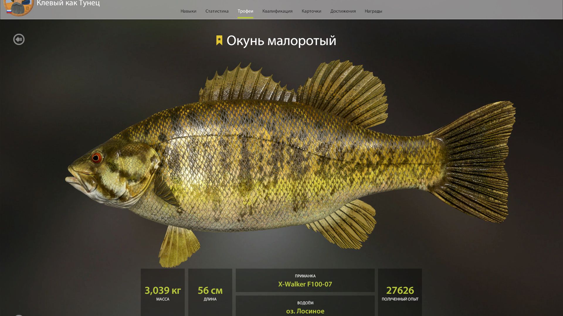 ТРОФЕЙ ОКУНЬ МАЛОРОТЫЙ!!!ЛОСИНОЕ ОЗЕРО - РУССКАЯ РЫБАЛКА 4 смотреть онлайн