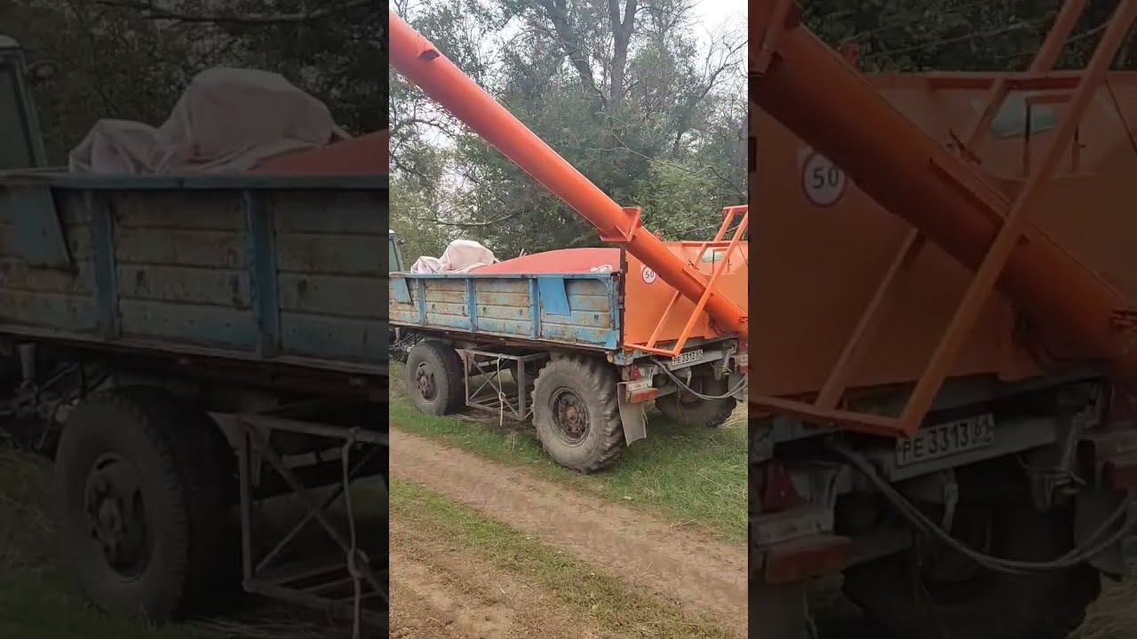 19 Октября  СЕЕМ ОЗИМУЮ ПШЕНИЦУ