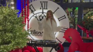 MILANA | AFRO HOUSE DJ MIX Happy New Year