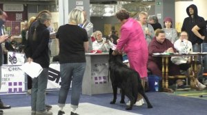 Восточный Континент Том