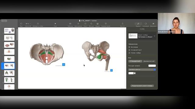 Запись прямого эфира «Как поддерживать здоровье тазового дна» смотреть онлайн