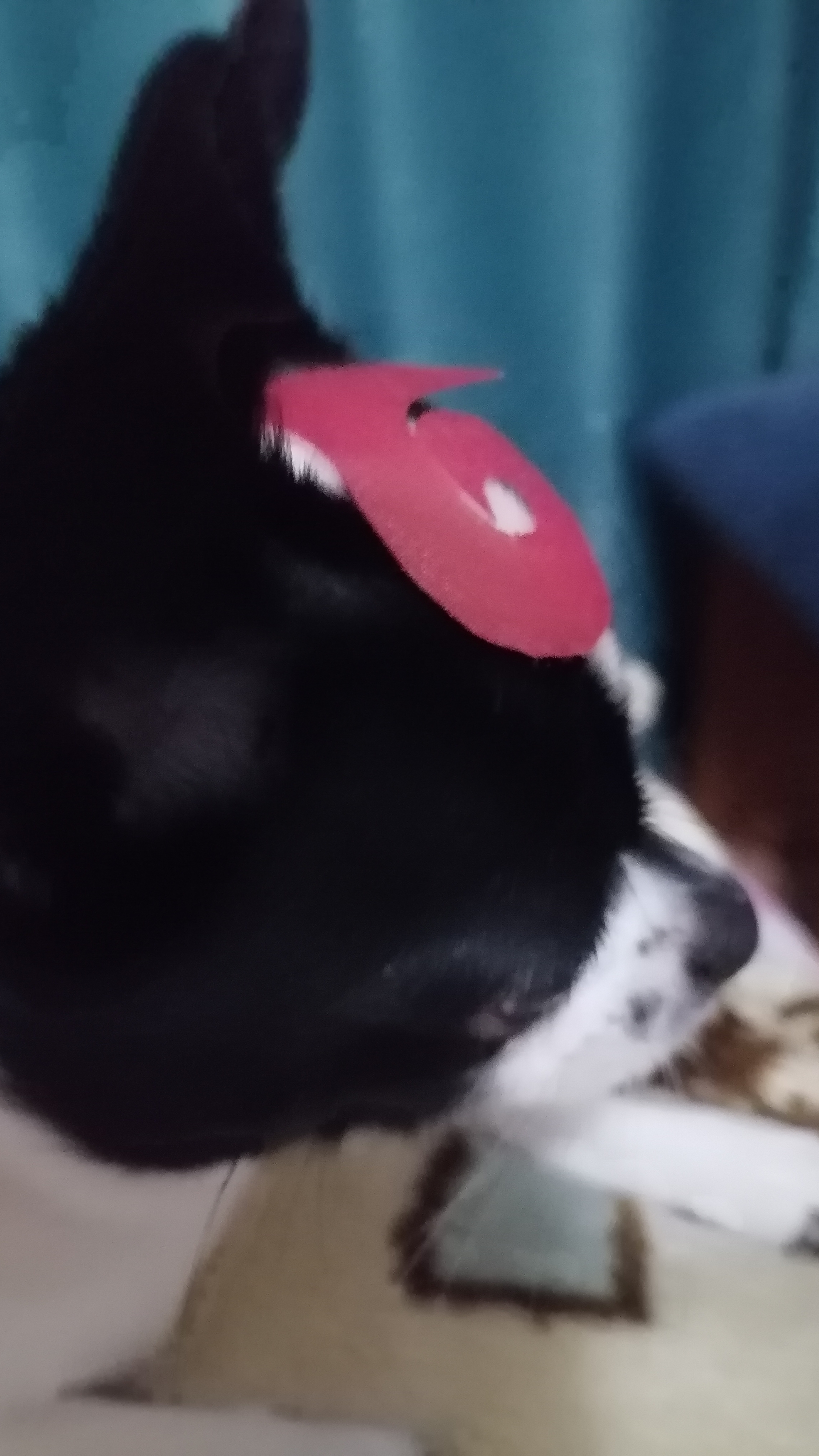 МАМА НЭЧЖИ 🥹 ❗видео моё,без шаблона, идею брать с отметкой🙏.  #SUPERBEARDESERT