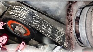 ☑️ ПИСК, СКРИП? РЕМЕНЬ ГЕНЕРАТОРА, ИЛИ ЗАЩИТНАЯ ПЛАСТИНА В ПОВОРОТНОМ КУЛАКЕ. ПАНАЦЕЯ ЕСТЬ!