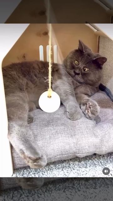 Пора выходить на свежий воздух! Катать снежных баб, кататься на санках… смотреть онлайн