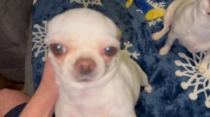 Всем наидобрейшего утречка и доброго воскресенья.