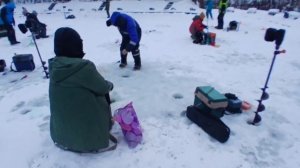 Зарыбление водоёма, шикарная погода и поимки форели!