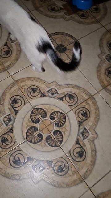 не знаю что там смотреть онлайн