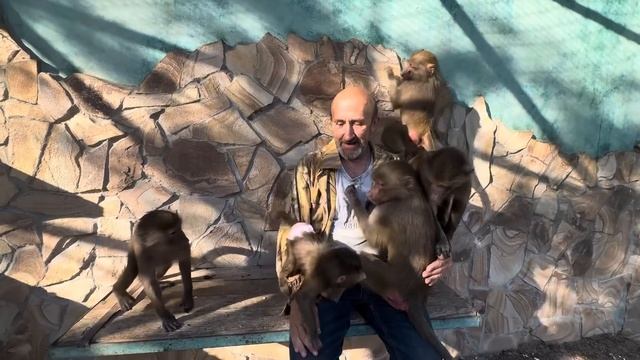 Влад принес в вольер Анфису и Люсю перестали все интересовать, ей всегда нужны только малыши) смотреть онлайн