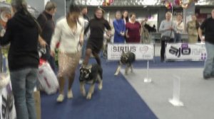 Сравнение на ЛБ