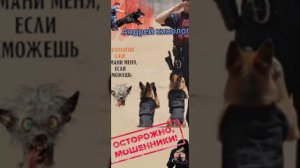 Всякой тваре по харе.