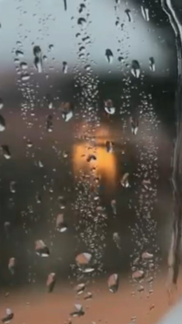 Лучше хранить ... смотреть онлайн