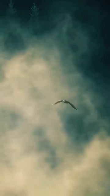 ПРИРОДА смотреть онлайн