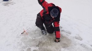 Светлые Горы Форель2 03.01.2026г.