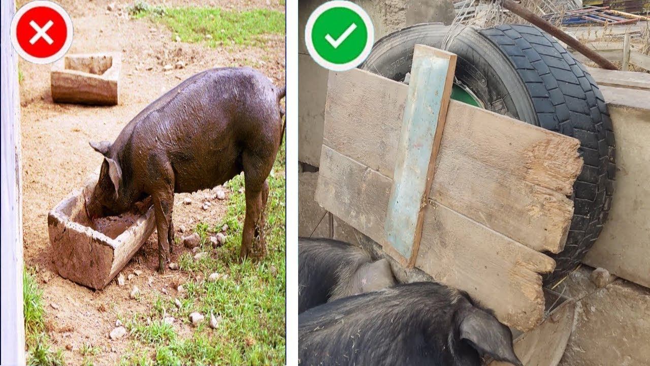 Дешёвая КОРМУШКА для Свиней из старой ПОКРЫШКИ !!!  Быстро и просто своими руками