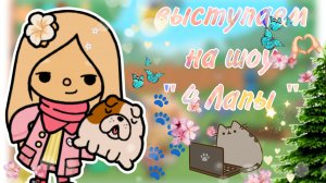 конкурс собак тока бока