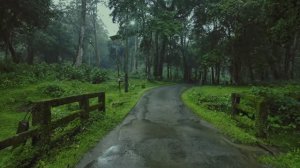 🇮🇳 Пуямкутти, Индия - спокойная прогулка под дождем по лесной дороге