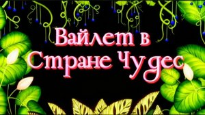 Вайлет в стране чудес!!!