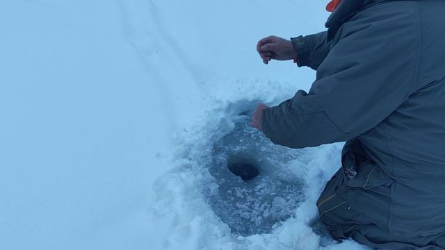 Светлые Горы Форель2 04.01.2026г. смотреть онлайн