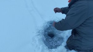 Светлые Горы Форель2 04.01.2026г.