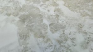 Основной водоём. Обама в деле.