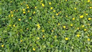 Дубай (4.01.2026) - Бизнес Бай.